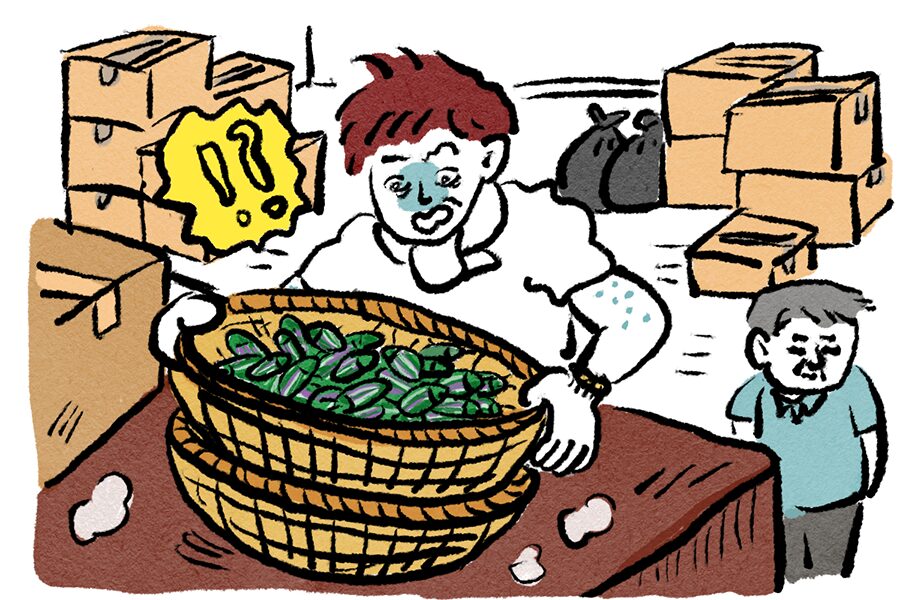 タマムシ